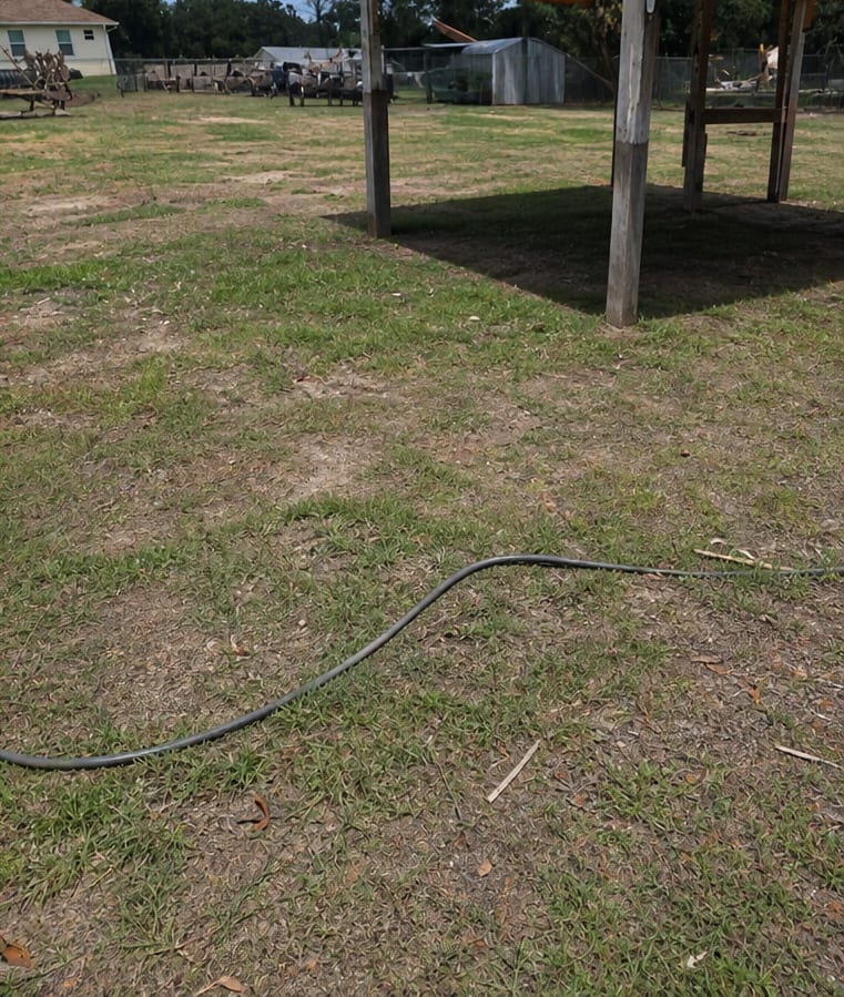 The same ground cleared to open grass with the pole barn visible and nothing left behind
